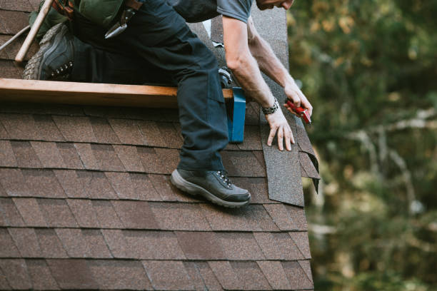 Best Roof Gutter Cleaning  in USA